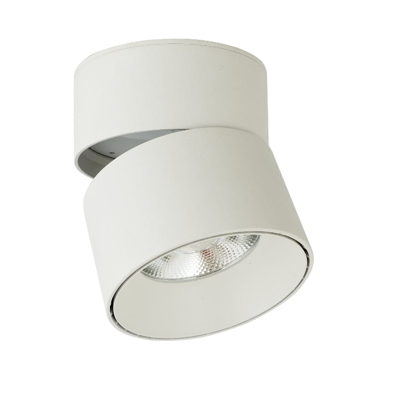 Abra Matte White Abra Rotating and Pivoting Spotlight 30008FM